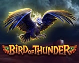 Bird of Thunder